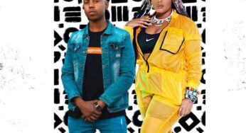 Felo Le Tee & DBN Gogo – Shuck & Jive EP