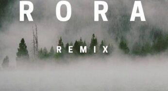 Major League Djz & Abidoza ft. Reekado Banks – Rora (Amapiano Remix)