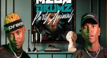 Megadrumz – Party Animals (Album)