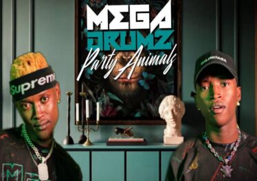 Megadrumz - Umcimbi Ongapheli (feat. Afro Brotherz)