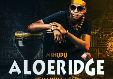 Mshudu - Aloeridge (feat. Makhalafilm)