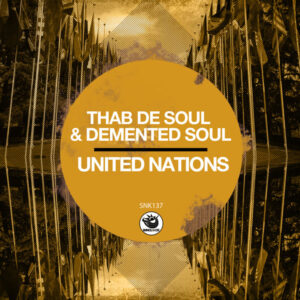 Thab De Soul & Demented Soul - United Nations (Original Mix)