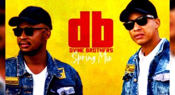 Dvine Brothers – Spring Mix 2020