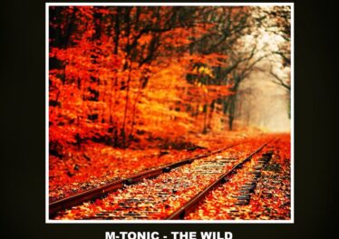 M-Tonic - The Wild (Original Mix)