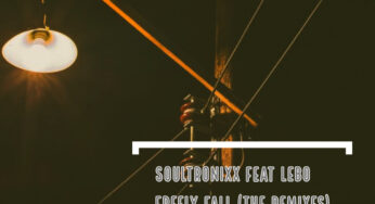 Soultronixx, Lebo – Freely Fall (The Remixes)