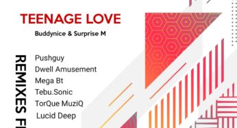 Buddynice & Surprise M – Teenage Love (Remixes)