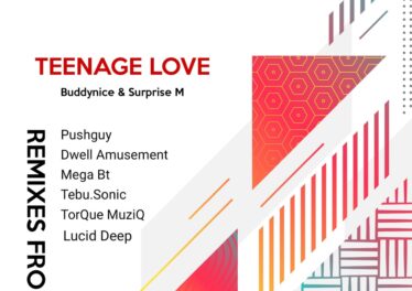 Buddynice & Surprise M - Teenage Love (Remixes)