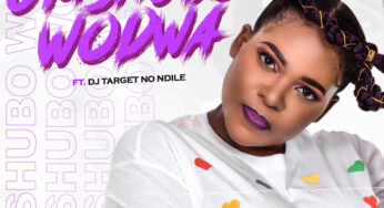 Sdudla Somdantso – Umshubo Wodwa (feat. DJ Target & Ndile)