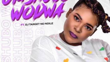 Sdudla Somdantso - Umshubo Wodwa (feat. DJ Target & Ndile)