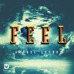 Groove Govnor - Feel (Original Mix)