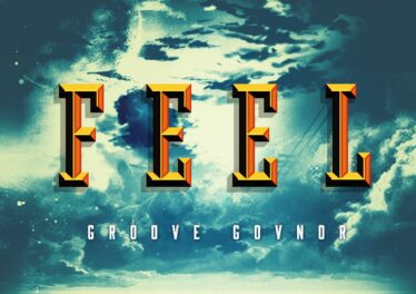 Groove Govnor - Feel (Original Mix)