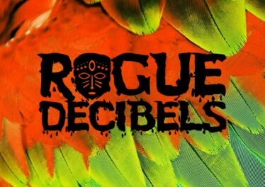 Rogue Decibels Vol.2, Part 1