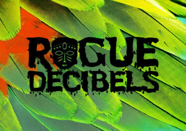 Rogue Decibels Vol. 2, Part 2