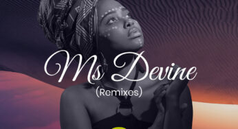 Themetique, Ras Vadah – Ms Devine (Remixes)