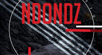 Ndondz & Couza feat. Fako – I Wanna See You (Dustinho Healthy Mix)