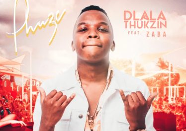 Dlala Thukzin - Phuze (feat. Zaba)