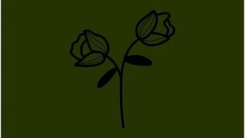 Nutty Nys - Newness (Taints Dub)