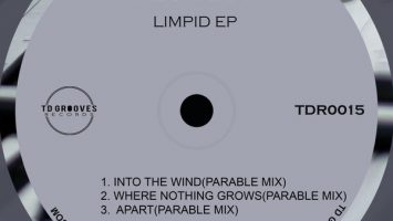 Pushguy - LIMPID EP