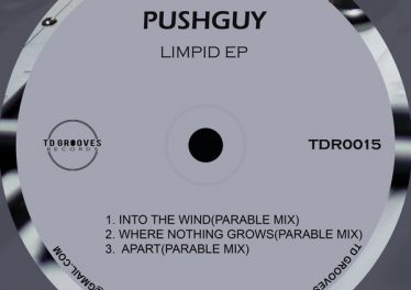 Pushguy - LIMPID EP