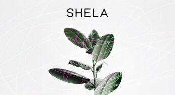 Slay (SA) – Shela (Original Mix)