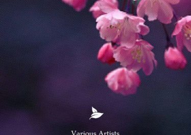 VA - Pure Beginning, Vol. 1