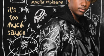 Andile Mpisane – It’s Too Much Sauce (feat. Lady Du, Reece Madlisa & Zuma)