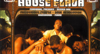 DJ Fresh – Fresh House Flava, Vol. 1 (Album 1998)