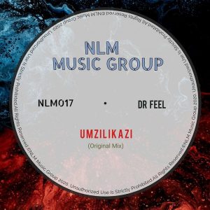 Dr Feel - Umzilikazi (Original Mix)