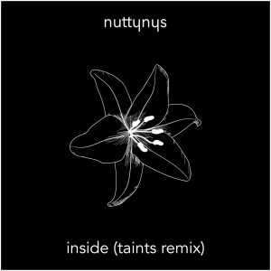 Nutty Nys - Inside (Taints Remix)
