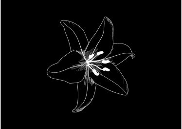 Nutty Nys - Inside (Taints Remix)