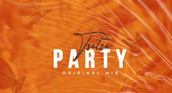 Tsetse – Party (Original Mix)