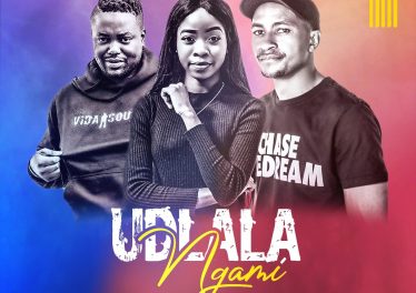 Villager SA & Vida-Soul - Udlala Ngami (feat. Nunicky)