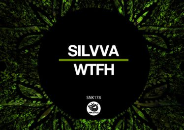 Silvva - WTFH (Original Mix)