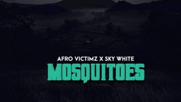 Afro Victimz & Sky White - Mosquitoes (Original Mix)