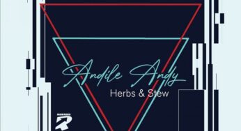 AndileAndy – Herbs & Stew EP