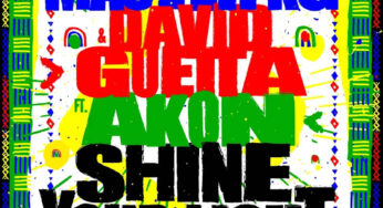 Master KG & David Guetta – Shine Your Light (feat. Akon)