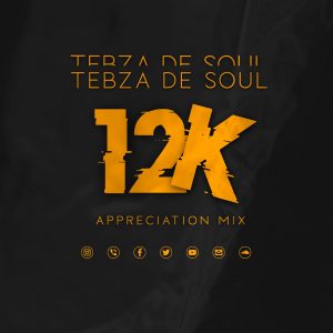 Tebza De SouL - 12k Appreciation Mix