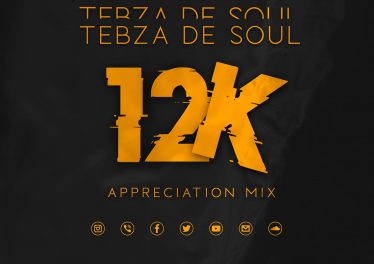 Tebza De SouL - 12k Appreciation Mix