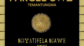 Parcel (SWZ), Temantungwa – Ngiyatifela Ngawe (Remixes)