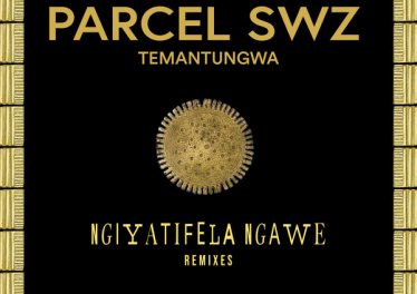 Parcel (SWZ), Temantungwa - Ngiyatifela Ngawe (Remixes)