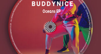 Buddynice – Idlozi Lam’ (Redemial Mix)
