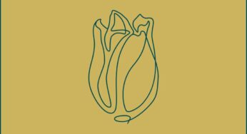 Nutty Nys – Wonderful (Taints Remix)