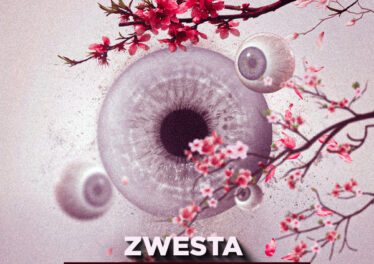 DJ Zwesta, Blvd - Eyes of a Stranger (Original Mix)