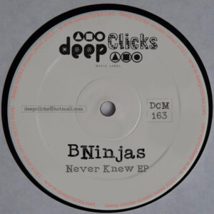 BNinjas - Never Knew EP