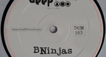 BNinjas – Never Knew EP