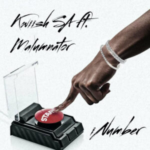 Kwiish SA - iNumber (feat. MalumNator)