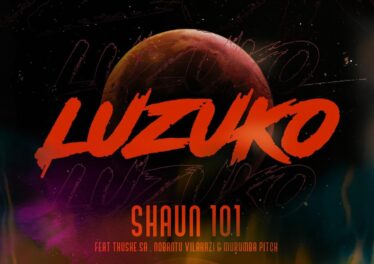 Shaun101 - LUZUKO (feat. Nobantu Vilakazi, Murumba Pitch & Thuske SA)