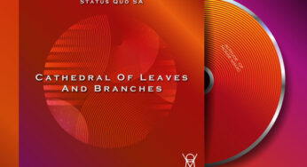 Status Quo SA – Cathedral Of Leaves And Branches (Original Mix)