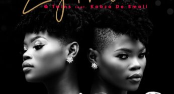 Q Twins – Ziyakhala (feat. Kabza De Small)