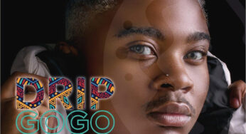 Drip Gogo – Ayavuma (feat. DJ Sumbody & The Lowkeys)